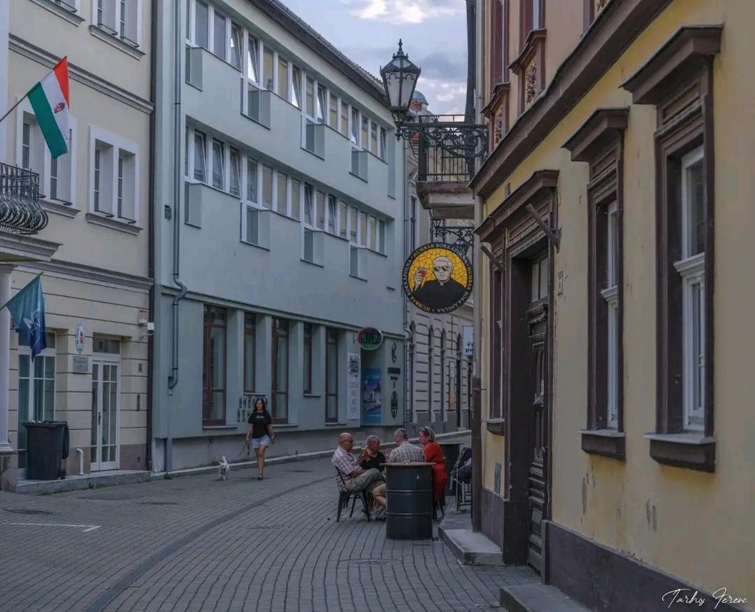 Albina Apartman Eger Zewnętrze zdjęcie