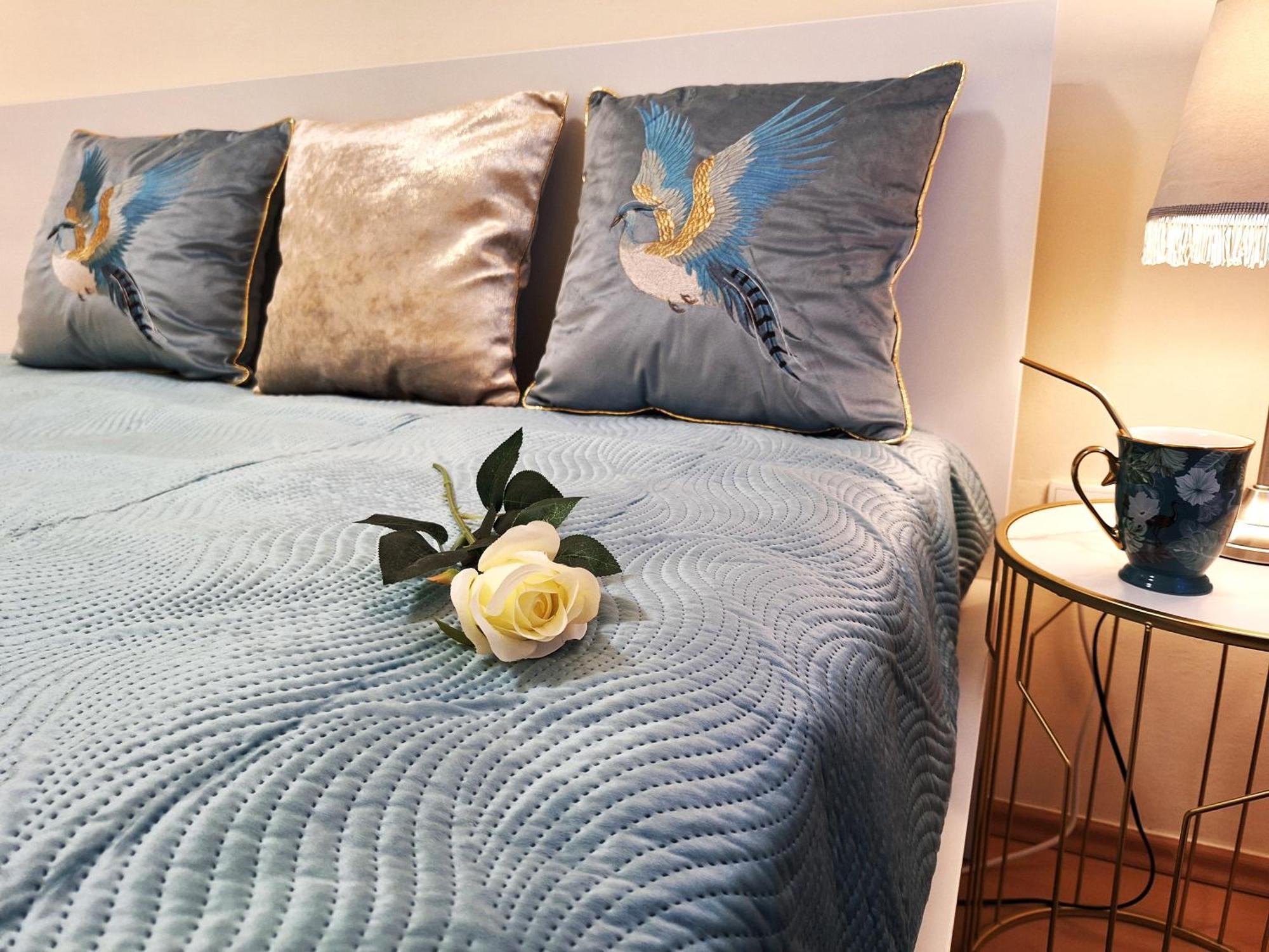 Albina Apartman Eger Zewnętrze zdjęcie