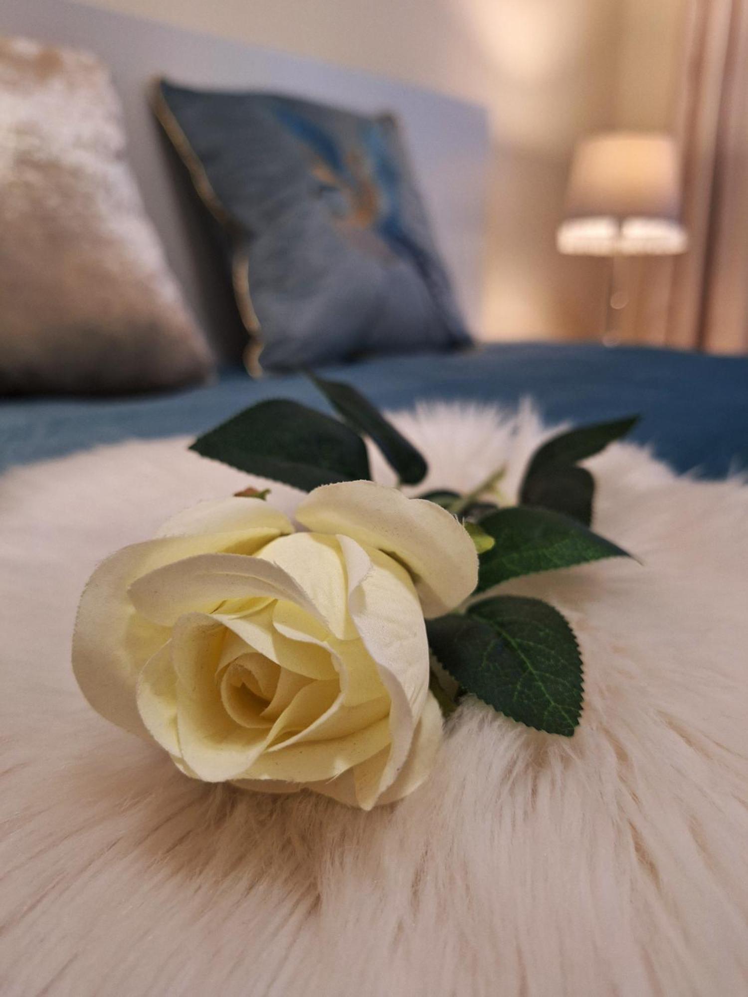 Albina Apartman Eger Zewnętrze zdjęcie